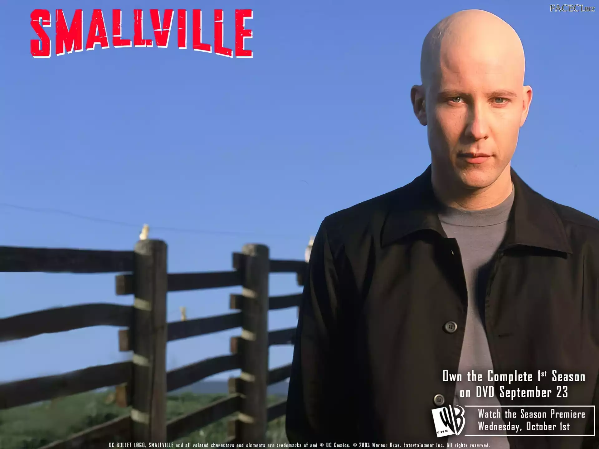 Michael Rosenbaum, łysy, Tajemnice Smallville, płot
